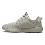 adidas_yeezy_boost_350__moonrock__aq2660_0_96758.jpeg